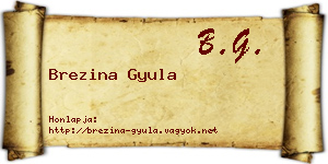 Brezina Gyula névjegykártya